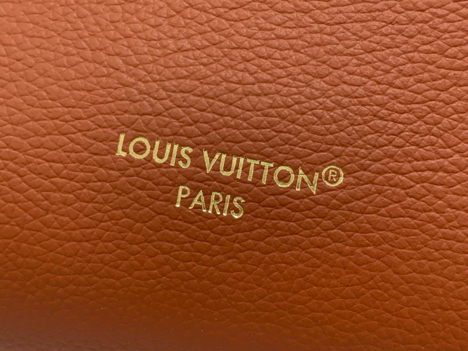 Brown Woven Medium Trunk Bag hardware detail view with woven strap and gold tone hardware