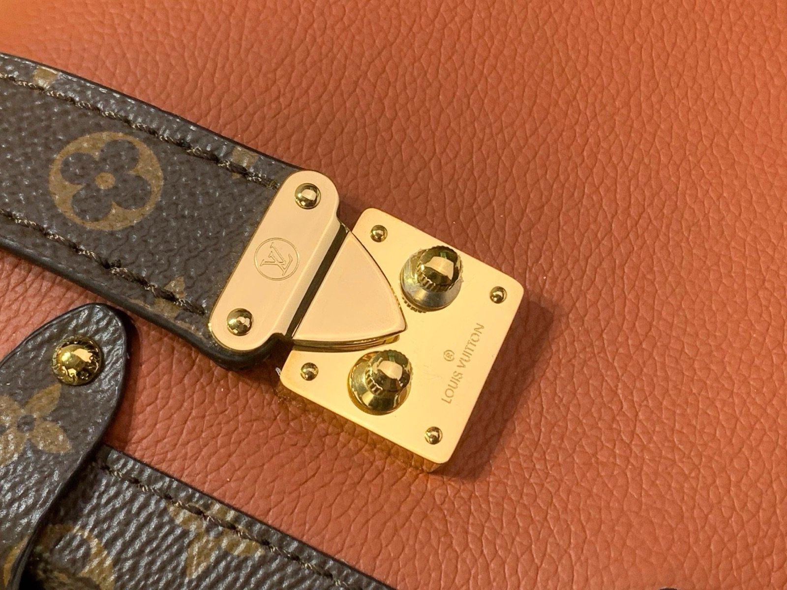 Brown Woven Medium Trunk Bag strap detail view with woven strap and gold tone hardware